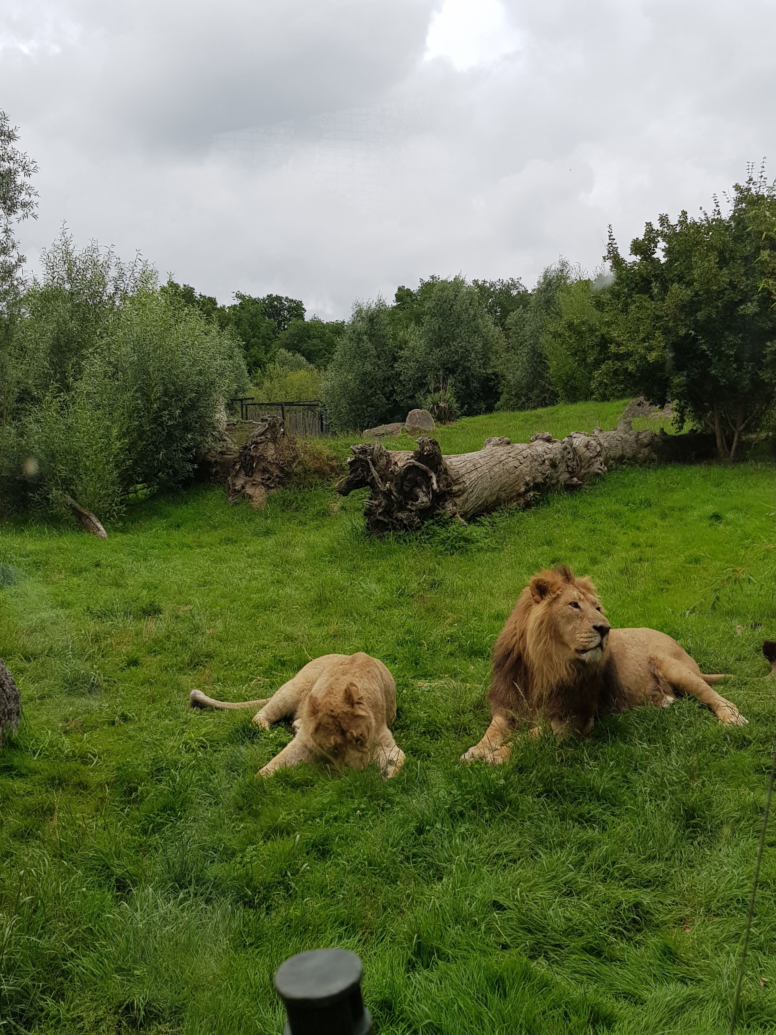 Photo n° 16 de l'avis de Karima.o fait le 06/07/2018 à 06:51