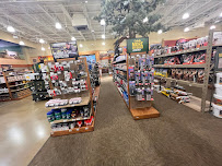 Cabela's - Photo 7 - Car repair in Ashwaubenon, WI, Green Bay