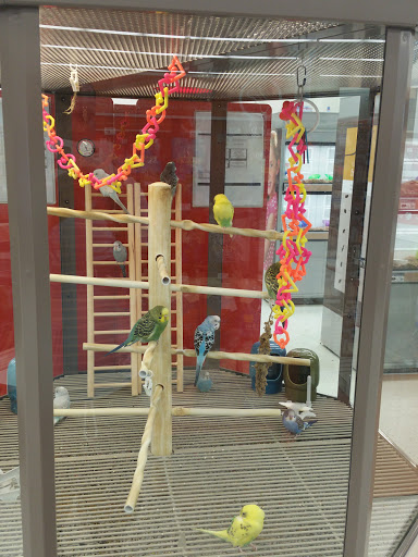 Pet Supply Store «Petco Animal Supplies», reviews and photos, 2723 Stroschein Rd, Monroeville, PA 15146, USA