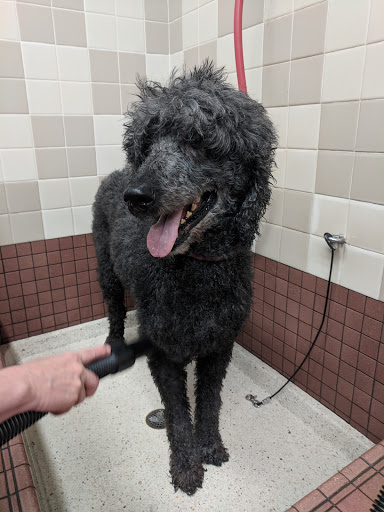 Pet Supply Store «Pet Food Express», reviews and photos, 2531 Fair Oaks Blvd, Sacramento, CA 95825, USA