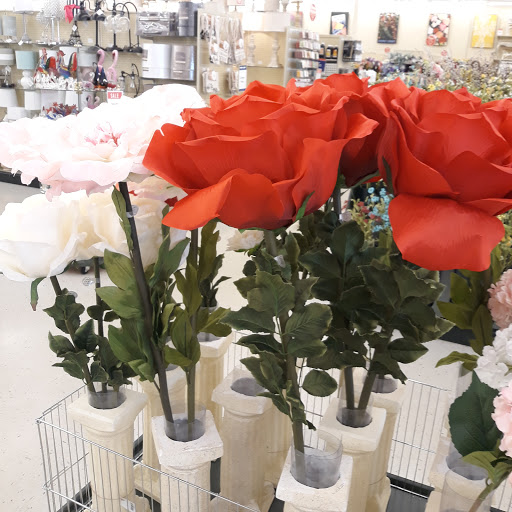 Craft Store «Hobby Lobby», reviews and photos, 2135 E Franklin Blvd, Gastonia, NC 28054, USA