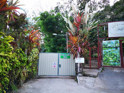 Durian in LoVe Estate