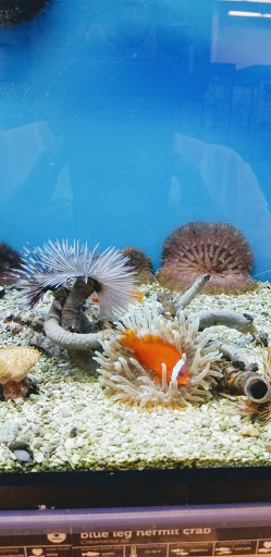 Pet Supply Store «Petco Animal Supplies», reviews and photos, 4665 Garth Rd #400, Baytown, TX 77521, USA