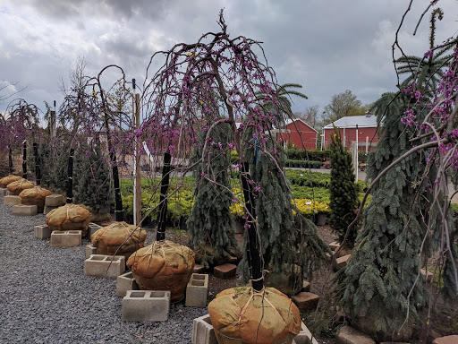 Lawn Mower Store «Central Jersey Nurseries Mower», reviews and photos, 18 Hamilton Rd, Hillsborough Township, NJ 08844, USA