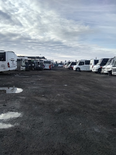 Liberación Camionera