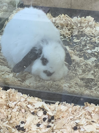 Pet Supply Store «Pet Palace Inc», reviews and photos, 253 Scranton Carbondale Hwy, Scranton, PA 18508, USA