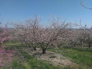 Photo n°6 de Vergers des Moncels à Lagney ()