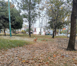 Canchas Colonial Iztapalapa photo