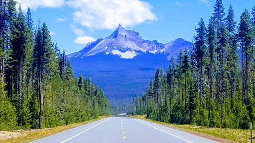 National Forest «Umpqua National Forest», reviews and photos, 1121 Houser Ct, Idleyld Park, OR 97447, USA