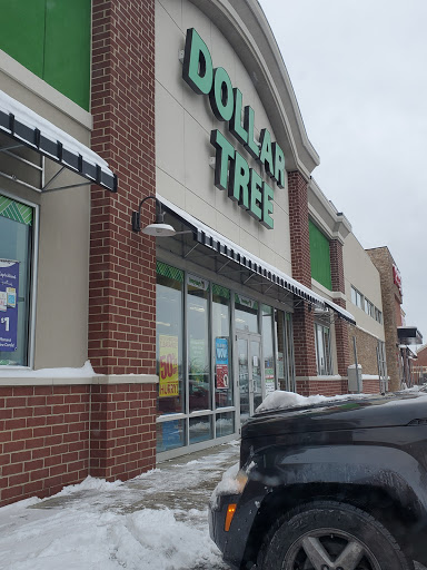 Dollar Store «Dollar Tree», reviews and photos, 640 Chestnut Commons Dr, Elyria, OH 44035, USA