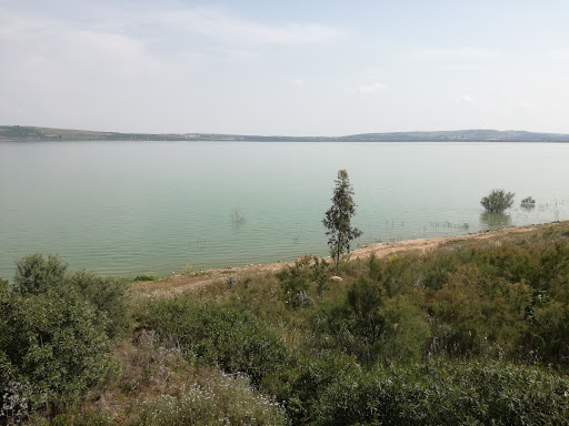 Lago di Lentini