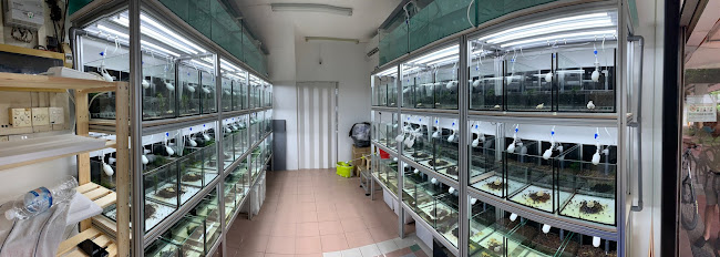 Shrimphub Singapore - Shop