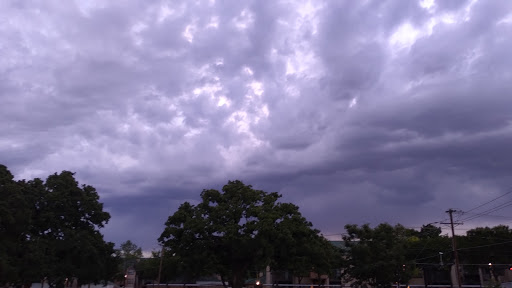 Park «Clarence Thompson Park», reviews and photos, 1600 Brown Blvd, Arlington, TX 76011, USA