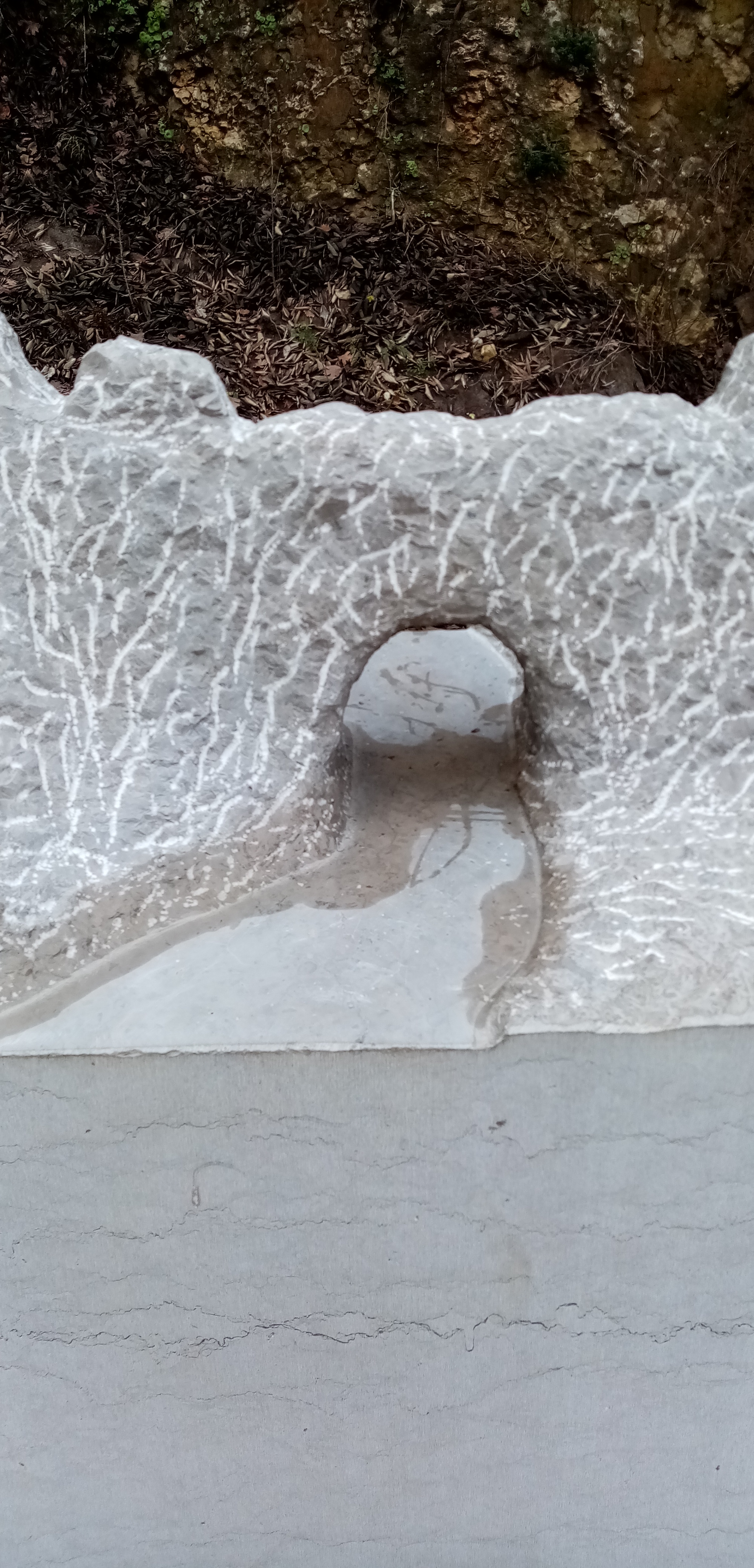 Photo n° 7 de l'avis de Fabrice.o fait le 27/01/2020 à 21:43