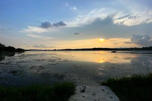 Seletar Park Connector image