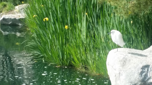 Park «Bridgeport Park», reviews and photos, 23520 Bridgeport Ln, Santa Clarita, CA 91355, USA