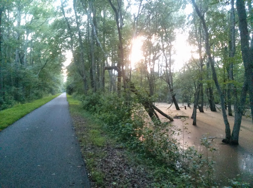 Park «Glassboro Wildlife Management Area», reviews and photos, Fries Mill Rd, Clayton, NJ 08312, USA