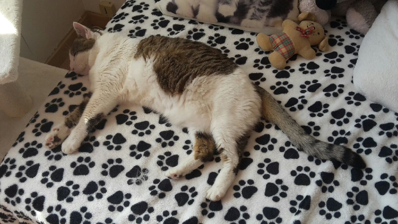 Photo n° 2 de l'avis de Sylvie. fait le 24/05/2018 à 20:04