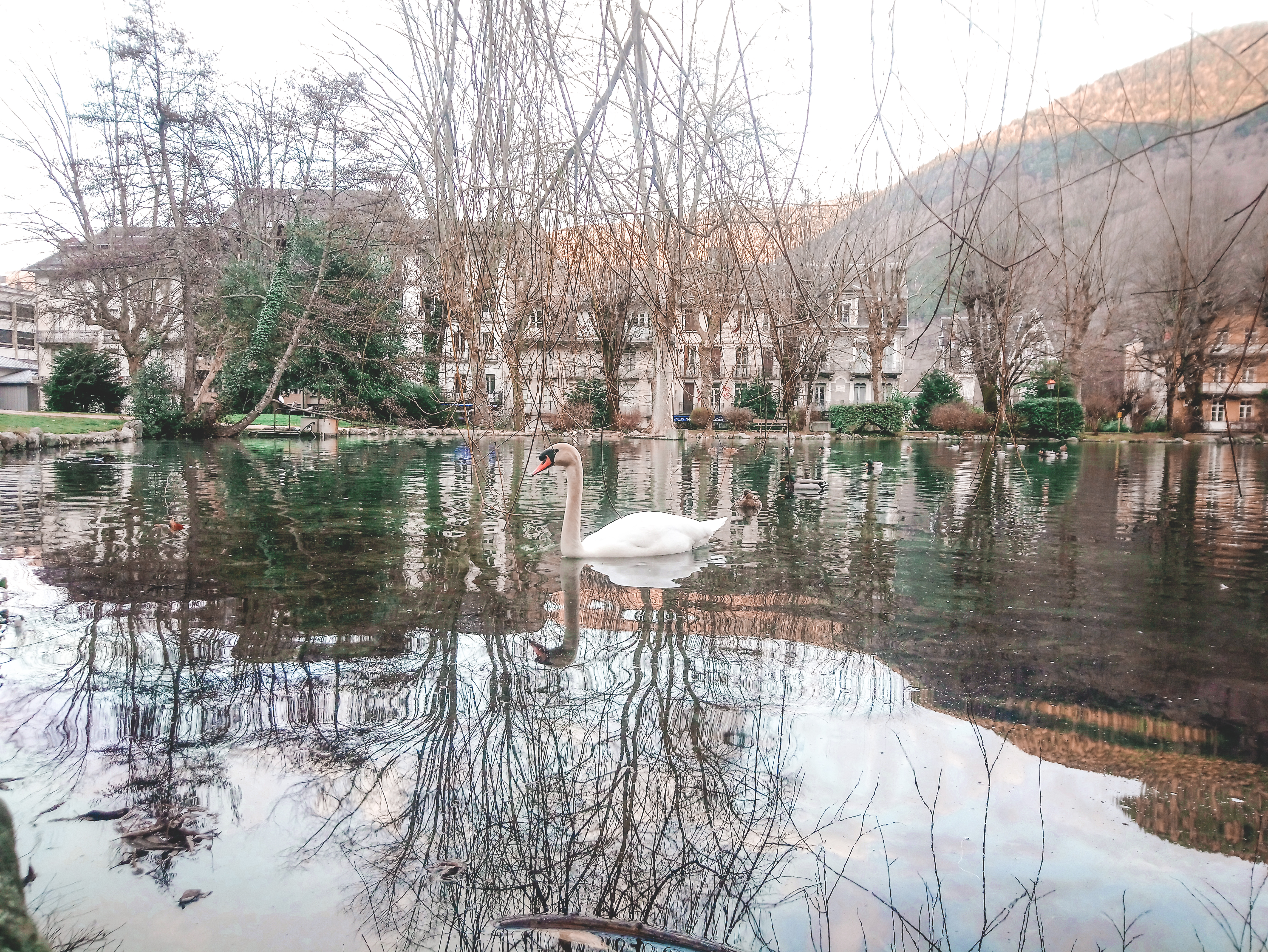 Photo n° 2 de l'avis de Mélodie.a fait le 08/02/2020 à 19:11