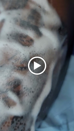 Explore mens face tattoos ideas, creative tattoo ideas in Jacksonville, available at Renegade Art Studio LLC