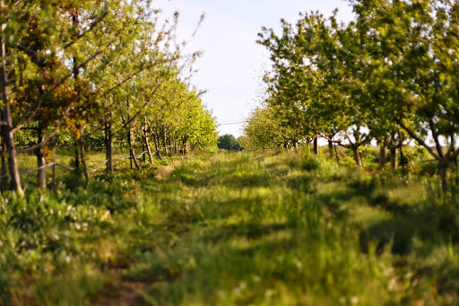 Cider Mill «Distillery Lane Ciderworks», reviews and photos, 5533 Gapland Rd, Jefferson, MD 21755, USA