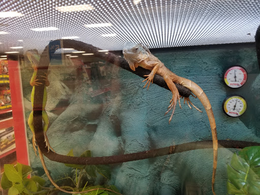 Pet Supply Store «Petco Animal Supplies», reviews and photos, 3284 Jefferson St, Napa, CA 94558, USA