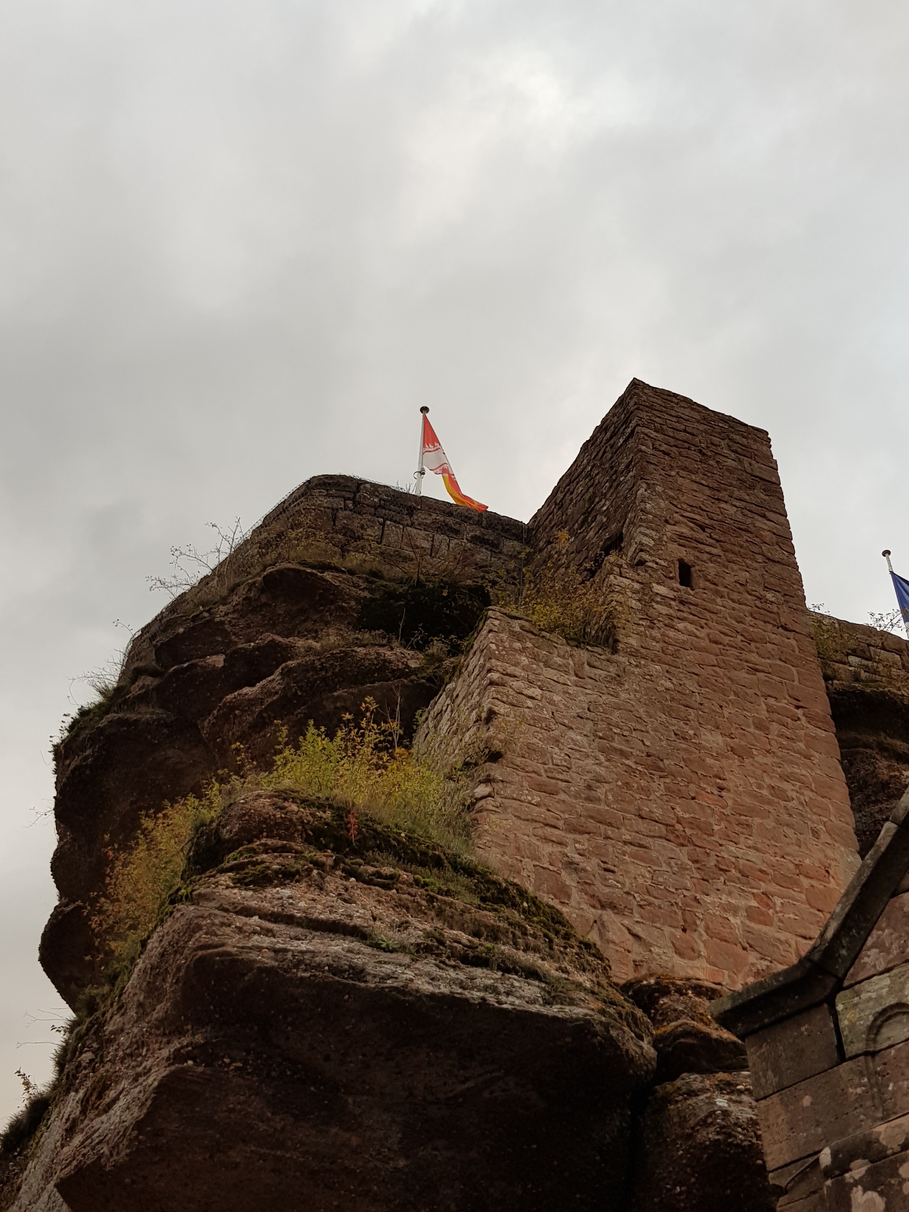 Photo n° 4 de l'avis de Roland.c fait le 09/11/2019 à 18:18