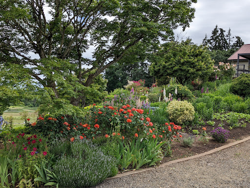 Vineyard «Cristom Vineyards», reviews and photos, 6905 Spring Valley Rd NW, Salem, OR 97304, USA