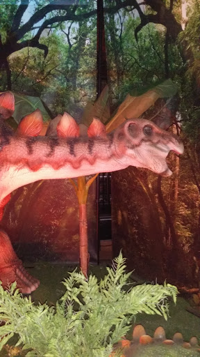 Arena «Donald L. Tucker Civic Center», reviews and photos, 505 W Pensacola St, Tallahassee, FL 32301, USA