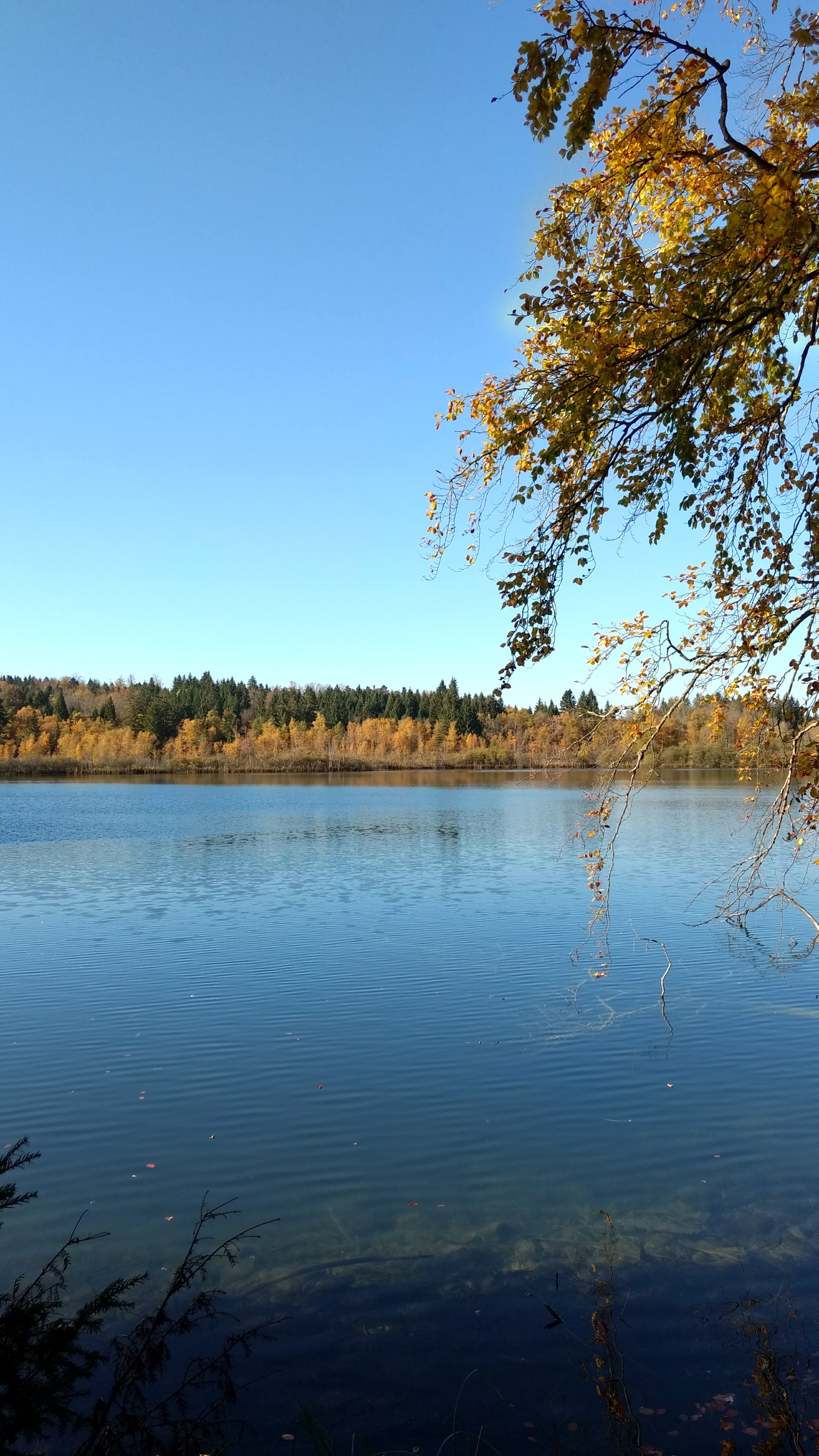 Photo n° 2 de l'avis de Christian.R fait le 19/10/2017 à 18:31