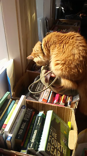 Book Store «Recycle Bookstore West», reviews and photos, 275 E Campbell Ave, Campbell, CA 95008, USA