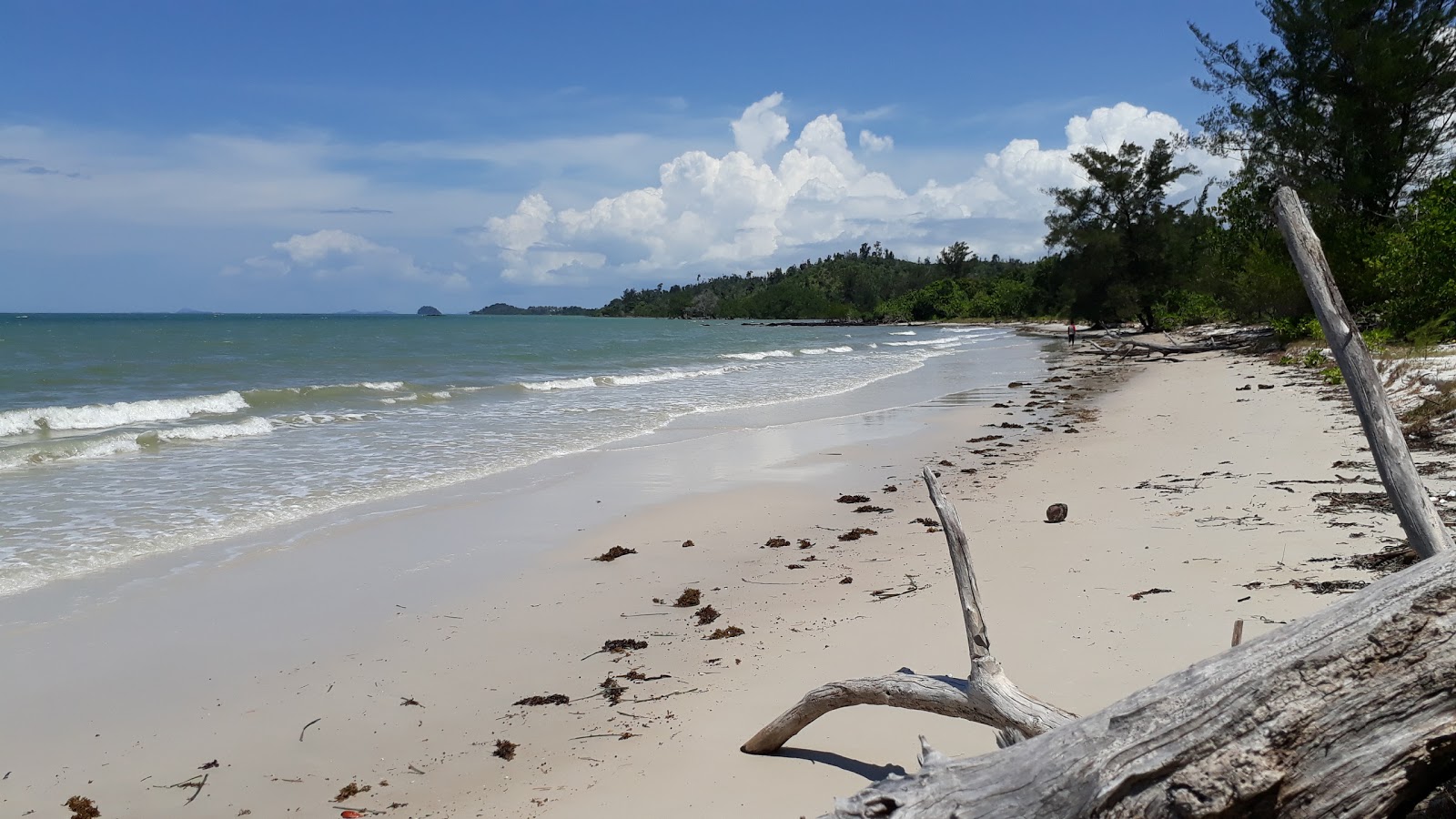 Zdjęcie Tegar Putri Beach położony w naturalnym obszarze