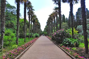 Nikitsky Botanical Gardens image