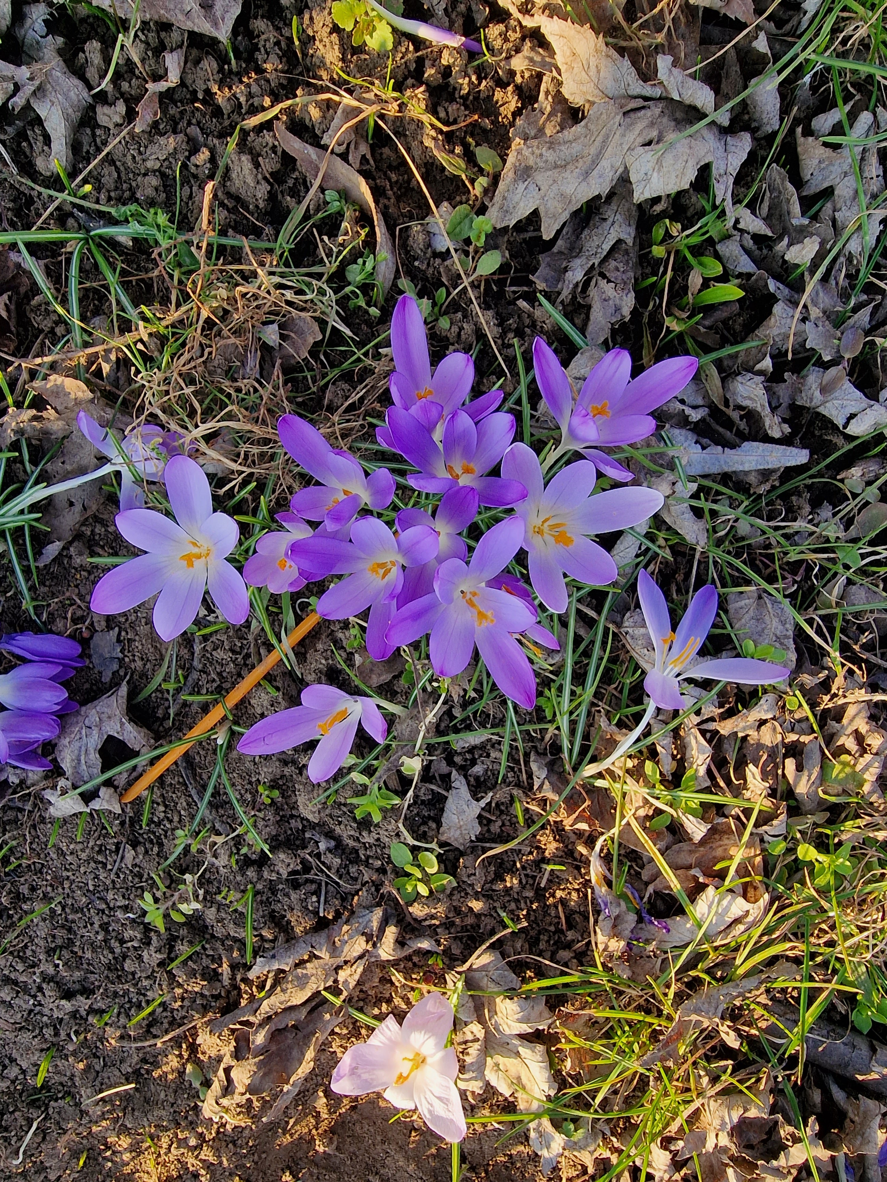 Photo n° 8 de l'avis de Pascal.a fait le 22/02/2023 à 13:47