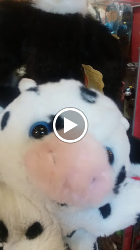 Book Store «The Twig Book Shop», reviews and photos, 306 Pearl Pkwy #106, San Antonio, TX 78215, USA