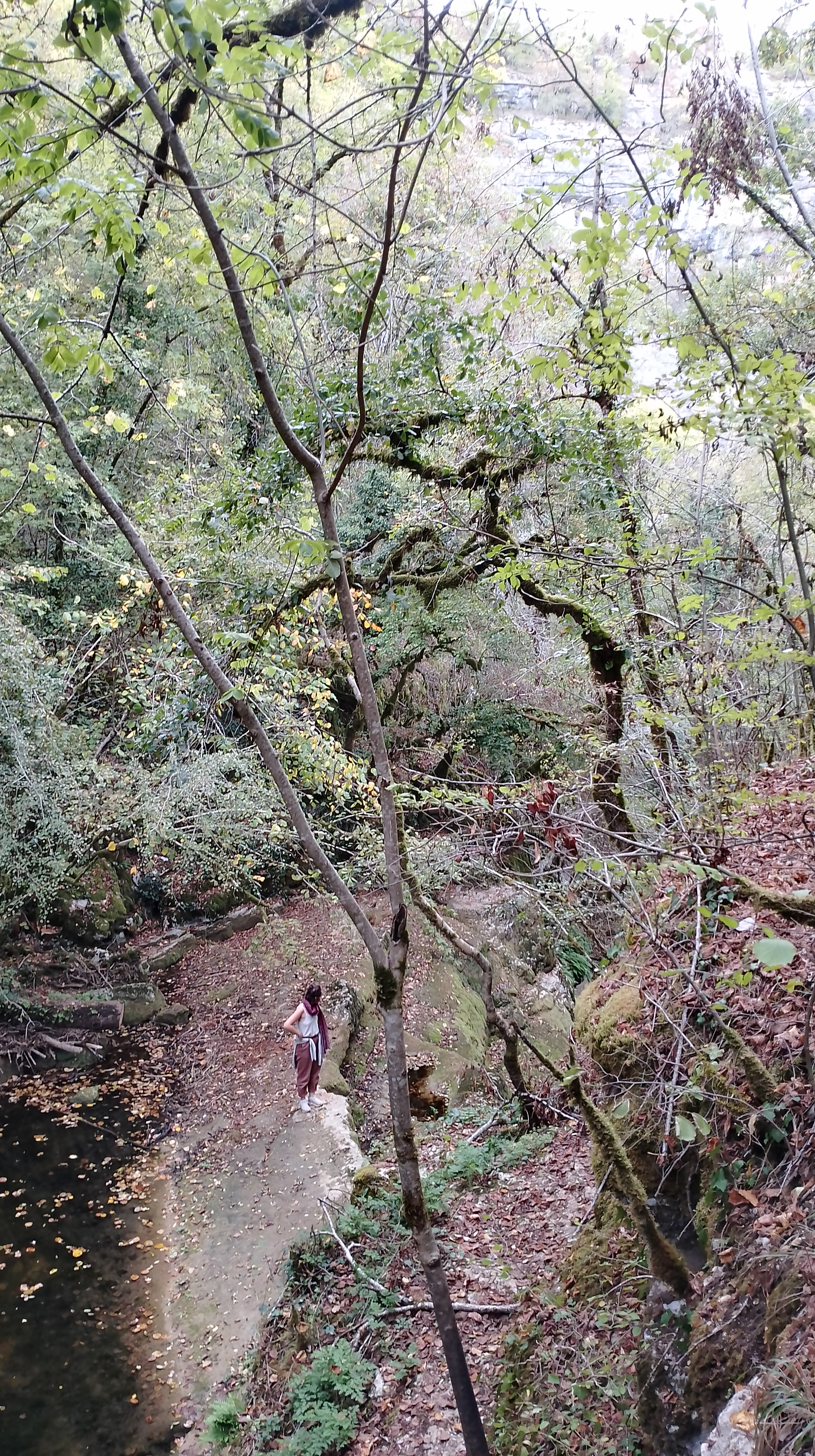 Photo n° 2 de l'avis de emilien.o fait le 16/10/2022 à 23:27