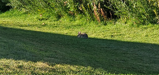 Golf Course «Family Sports Center Golf Course», reviews and photos, 6901 S Peoria St, Centennial, CO 80112, USA