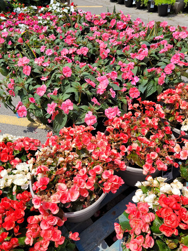 Home Improvement Store «The Home Depot», reviews and photos, 2600 S Lapeer Rd, Lake Orion, MI 48360, USA