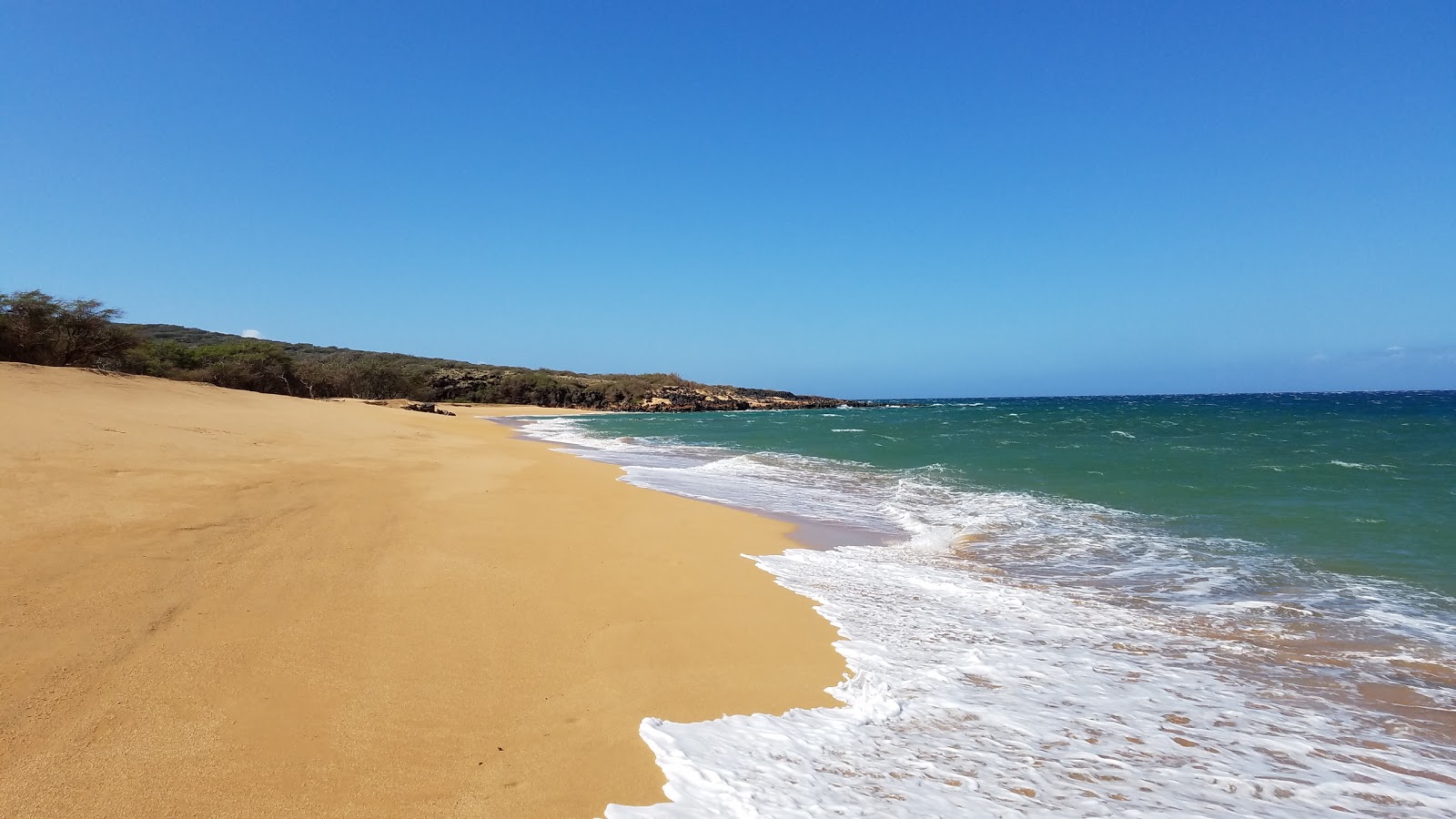 Foto av Polihua Beach med hög nivå av renlighet