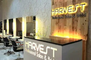 Harvest Professional Salon image