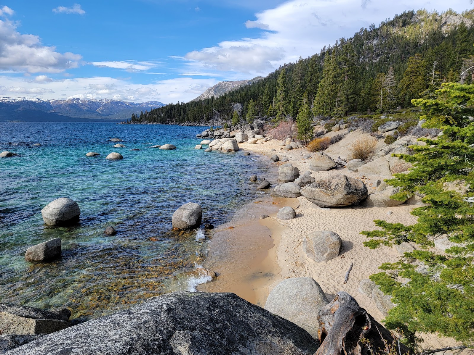 Whale Beach'in fotoğrafı doğal alan içinde bulunmaktadır