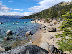 Whale Beach'in fotoğrafı doğal alan içinde bulunmaktadır