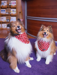 Heather's Holistic Health Massage - Photo 5 - Car repair in Dover, DE, Dover