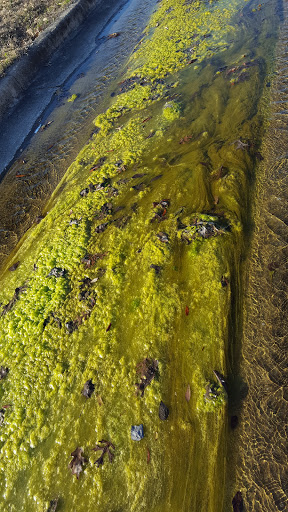 Park «Katherine B. Winniford Park», reviews and photos, 4900 Highlands Dr, McKinney, TX 75070, USA