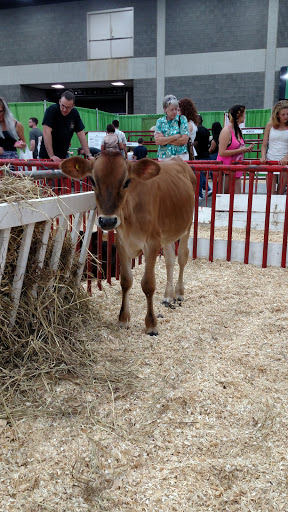 Arena «Freedom Hall», reviews and photos, 937 Phillips Ln, Louisville, KY 40209, USA