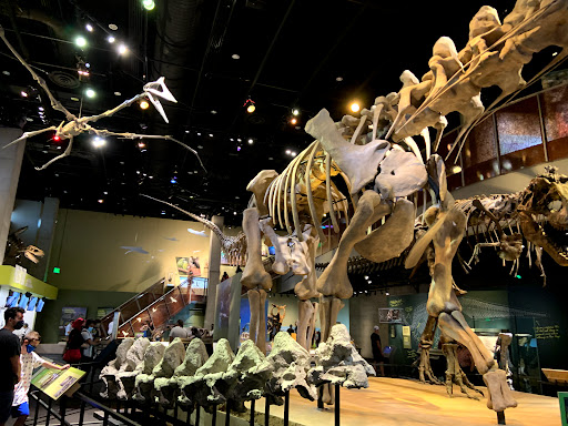 Museum «Perot Museum of Nature and Science», reviews and photos, 2201 N Field St, Dallas, TX 75201, USA