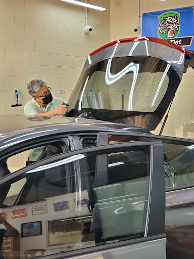 Zero Tint image