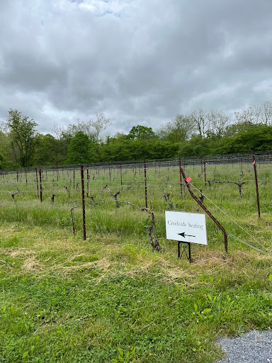 Winery «Rocklands Farm», reviews and photos, 14525 Montevideo Rd, Poolesville, MD 20837, USA