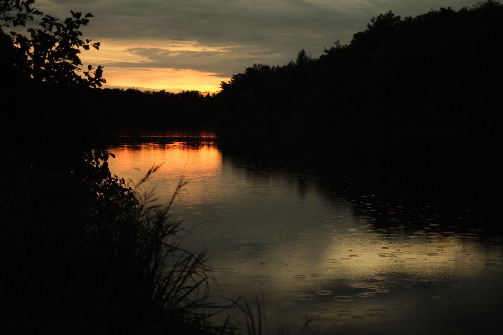 Photo n° 1 de l'avis de Koen.a fait le 23/09/2020 à 08:28