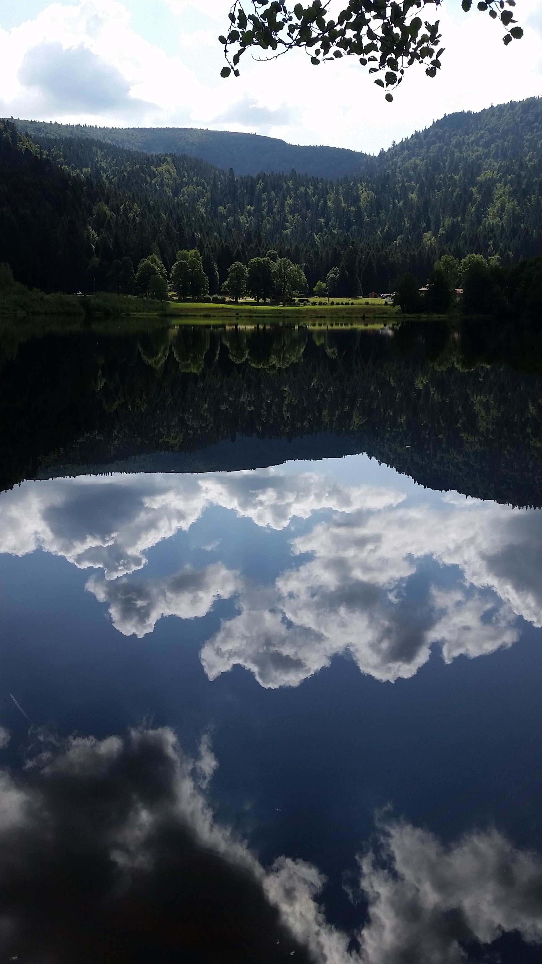 Photo n° 1 de l'avis de Damien. fait le 04/09/2019 à 10:33